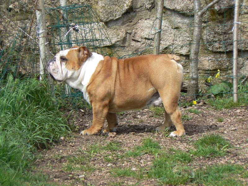 Arvey De la villenière